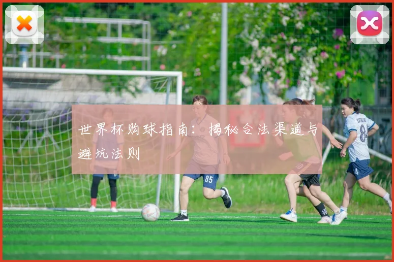 世界杯购球指南:揭秘合法渠道与避坑法则